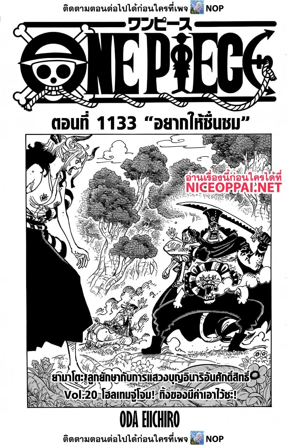 One Piece 1133 TH