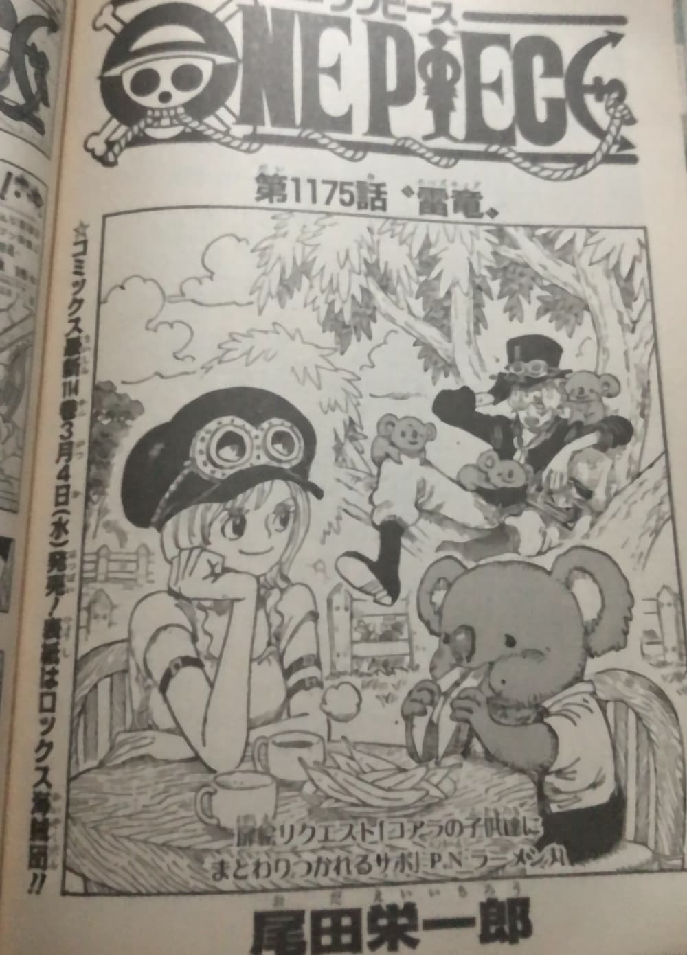 One Piece 1175 JP
