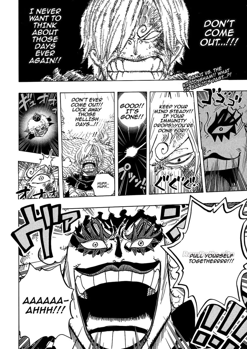 One Piece 1196 En