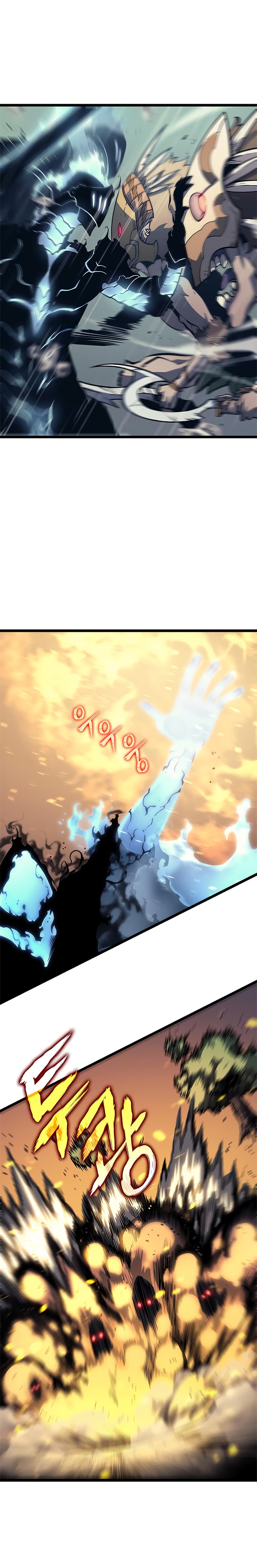Solo Leveling 110 TH